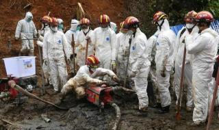 321东航坠机事件 321东航坠机事件