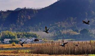 南京到皖南川藏线自驾攻略 安微川藏线旅游攻略